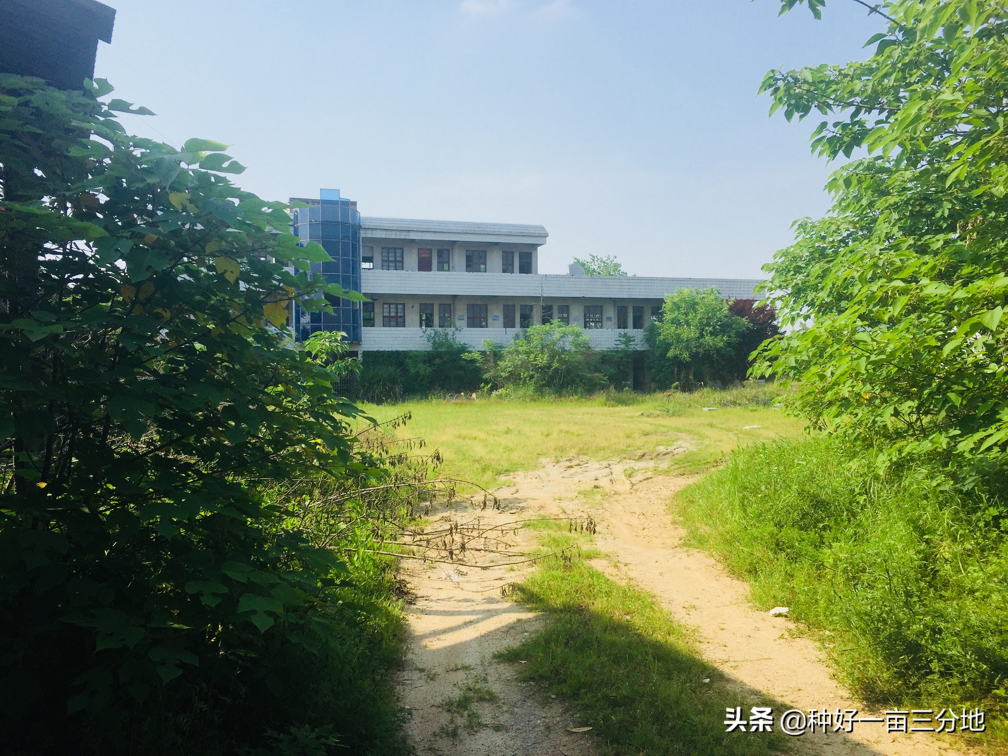 湖北的废弃小学,湖北荒废废弃学校