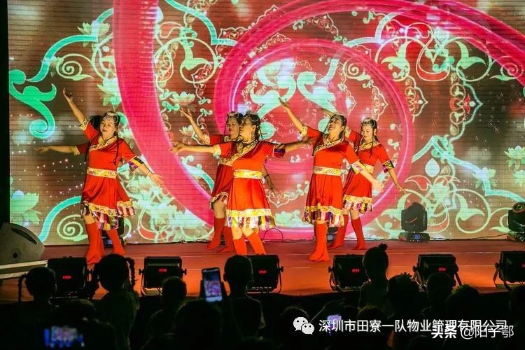 锦田湾我是护旗手,我是护旗手主题活动