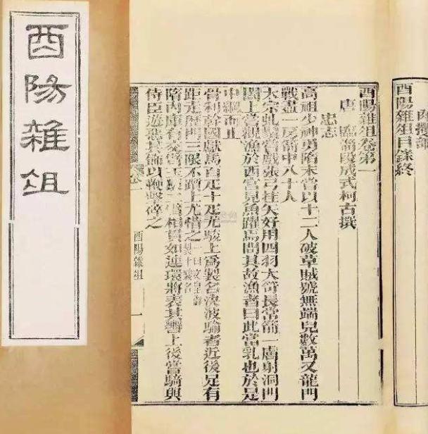 酉阳杂俎中的故事,酉阳杂俎讲什么