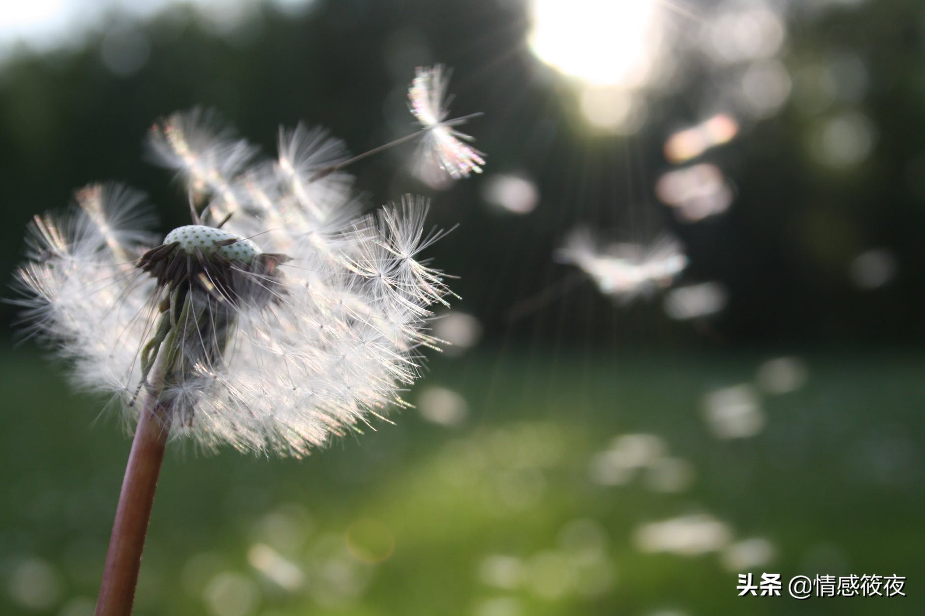 修复与邻居发生争吵后的关系