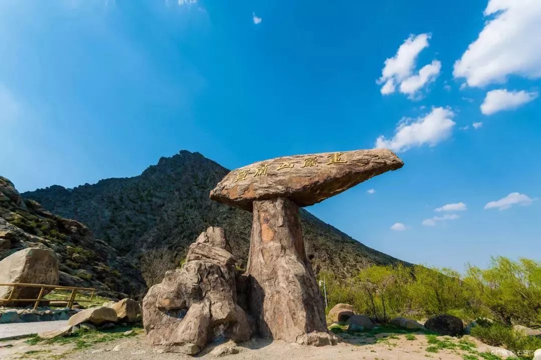宁夏的夏天是什么样的,宁夏夏天有多热