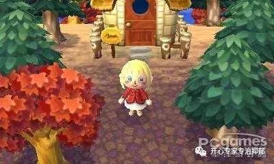 nds掌机视频,nds掌机十大作品