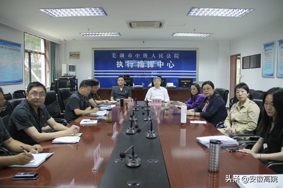 代表委员为法院工作建言献策,代表委员看法院