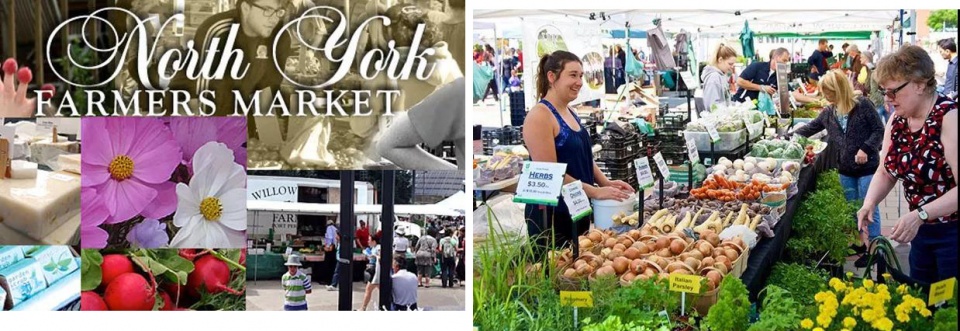 多伦多海鲜市场购物 (多伦多最有名的市场)