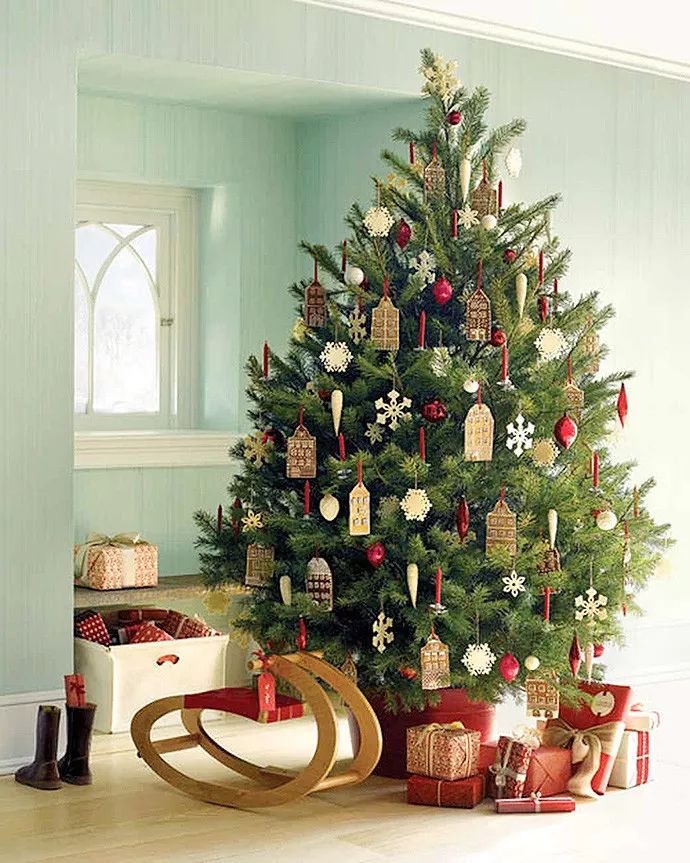 挪威云杉夏天怎么养,挪威云杉温和净肤