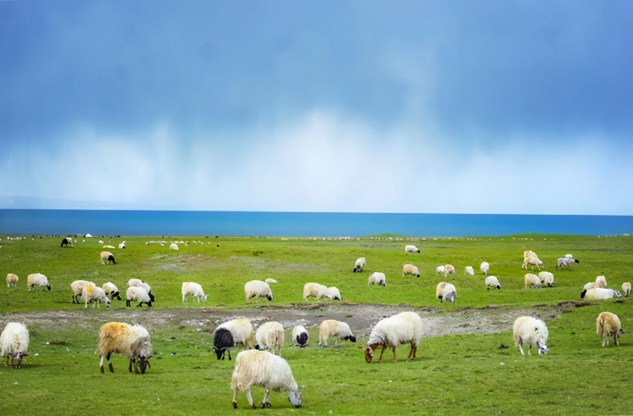 售后工程师年终总结,售后工程师有前途吗