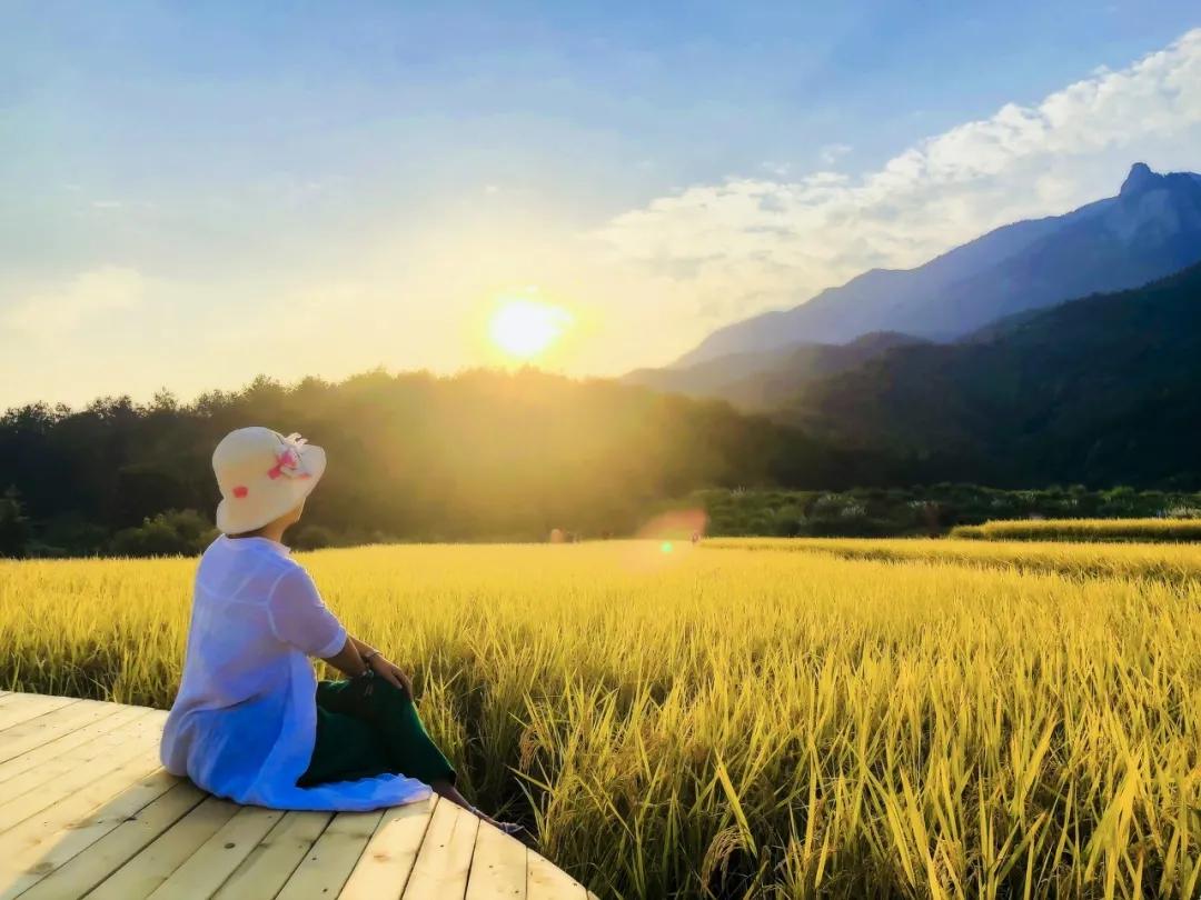 村上春树最经典的语录是什么,村上春树最扎心的5句话