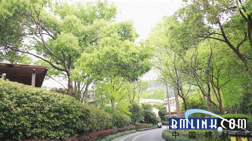 克洛斯威的十大优势,克洛斯威sd10