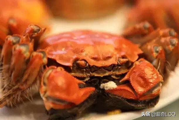 畅游苏州套票,畅游苏州