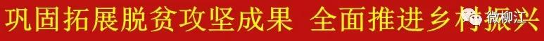 直播卖水果一年收入几百万,直播卖水果一年200万