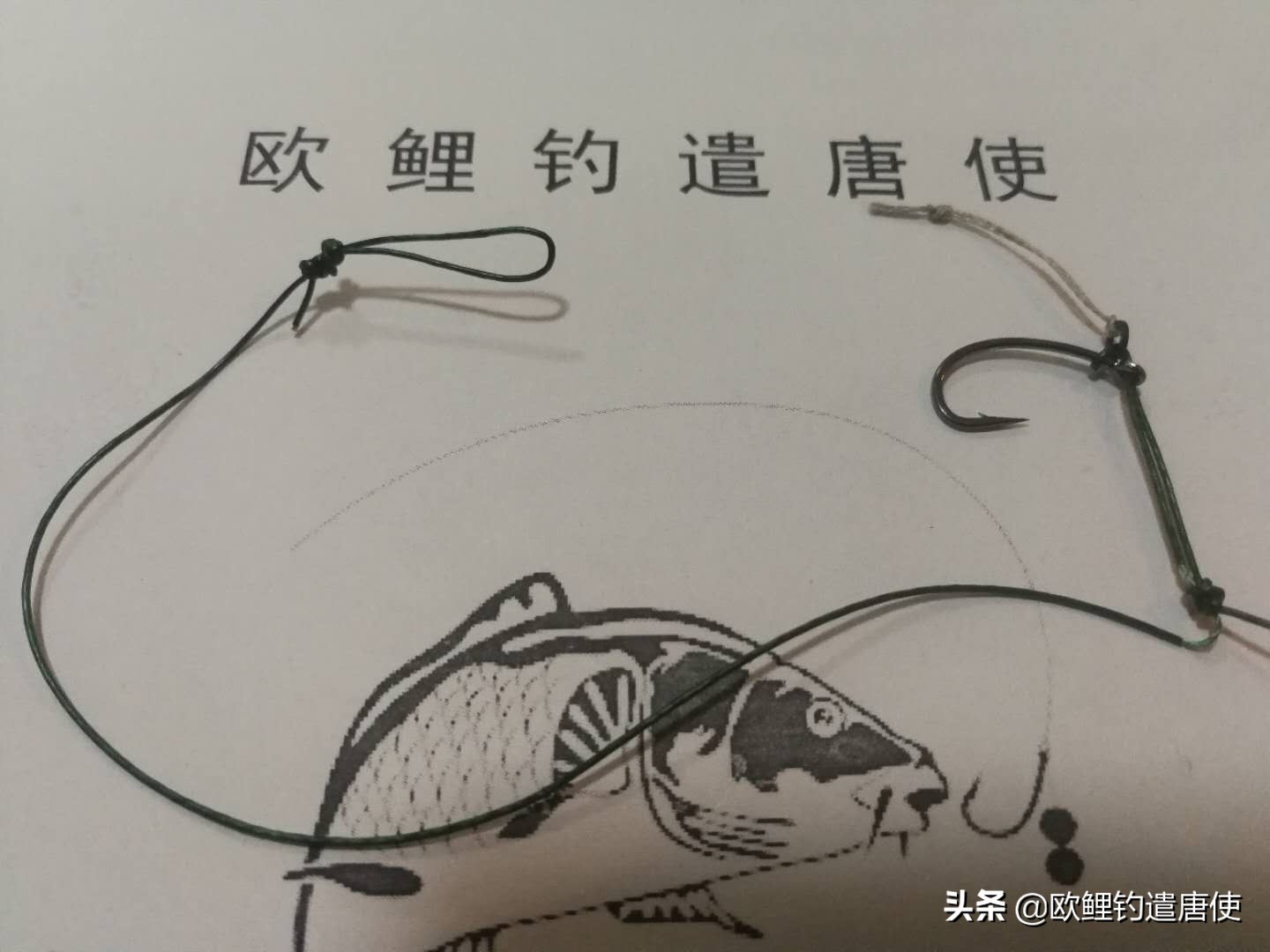 为什么鲤鱼比鲫鱼难钓,为什么鲫鱼这么难咬钩