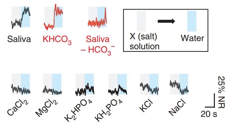 水有气味吗,水有颜色吗有味道吗