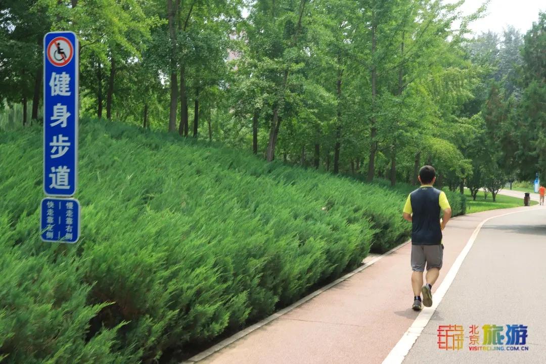 免费！市区就有“小森林”，花海芳香扑鼻！还有美好的祝福送给你