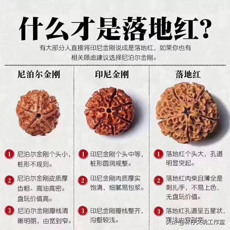 尼泊尔大金刚与落地红的简单区别,印尼大金刚就是落地红吗