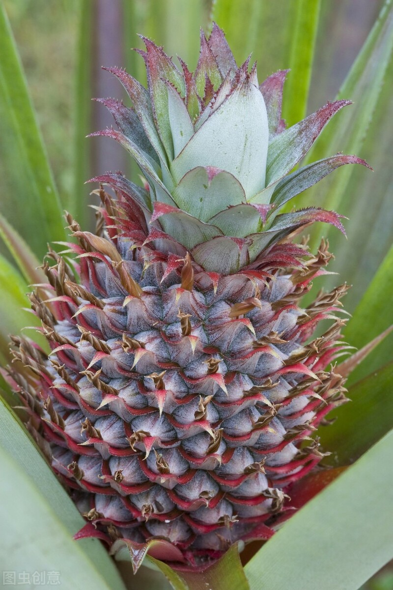 杂文完整版,杂文集第四本