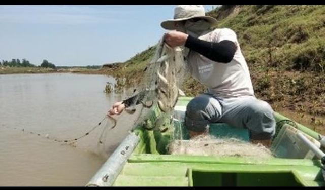 野钓鱼资源匮乏怎么办好,野钓资源匮乏是怎么造成的