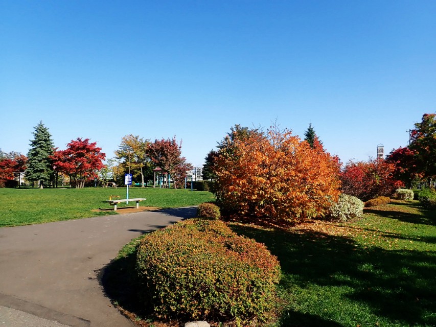 从南到北游日本之北海道札幌