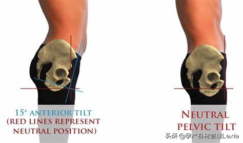 孕期腰痛背痛发生在哪个时期,孕期老是腰疼背疼怎么回事