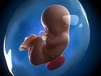 受精卵着床，为什么有的人会失败？