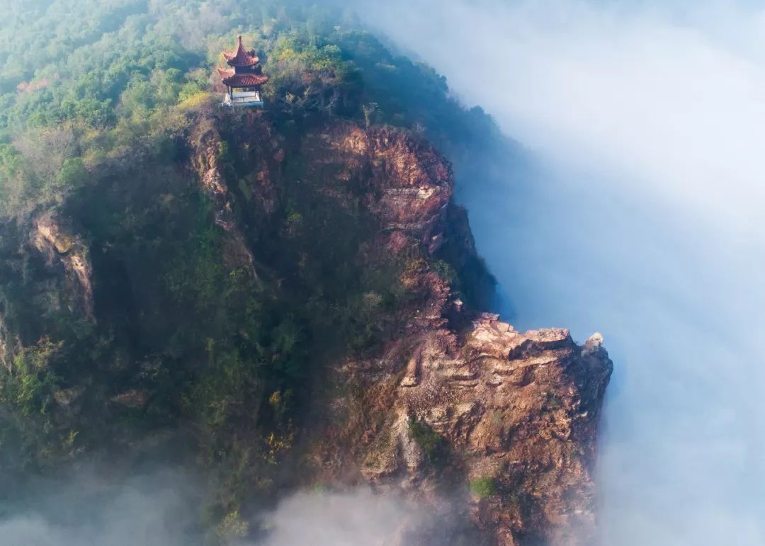 港城历史,港城发展历程