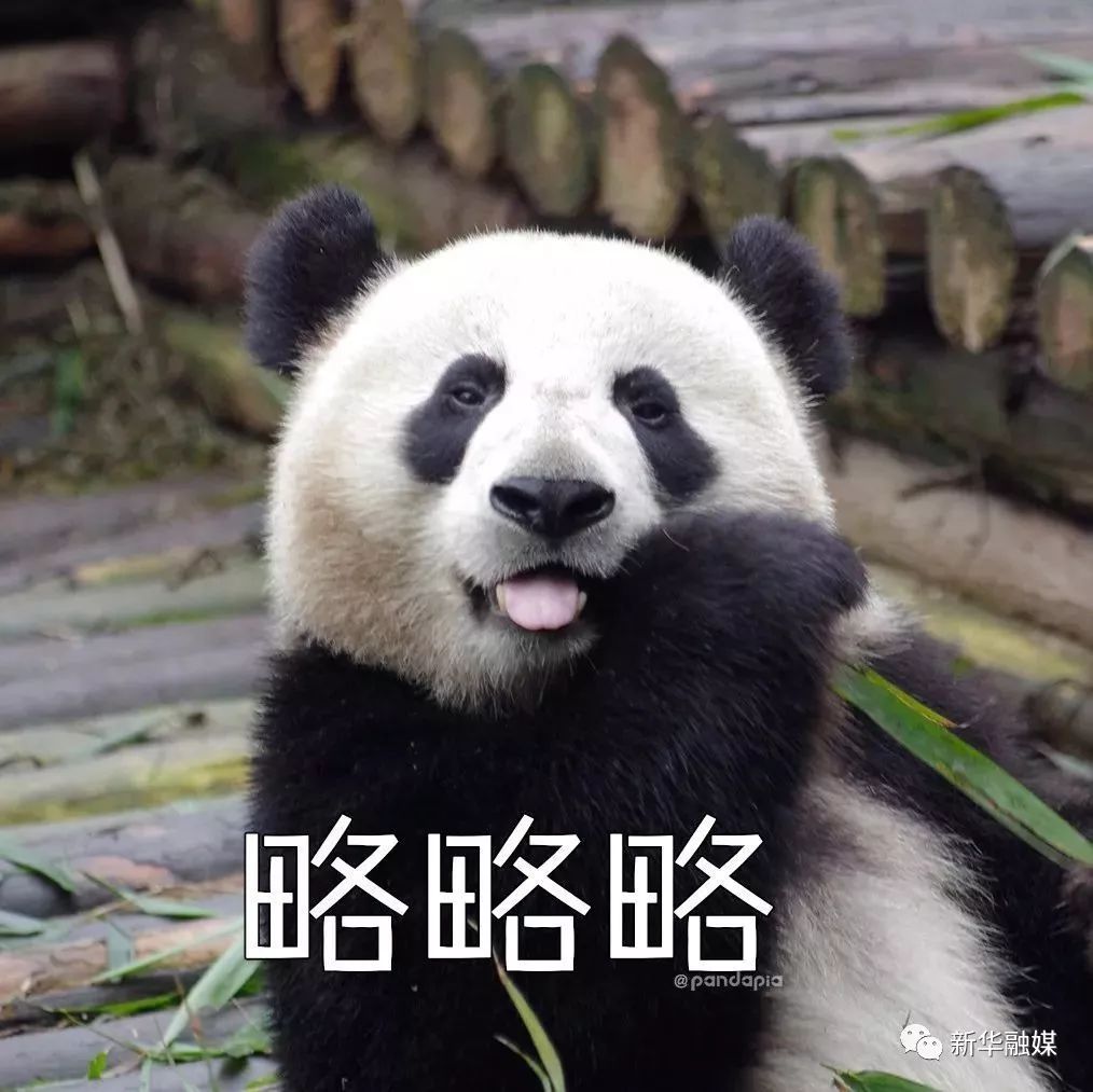 七十年代集宁区,乌兰察布近几年的发展变化