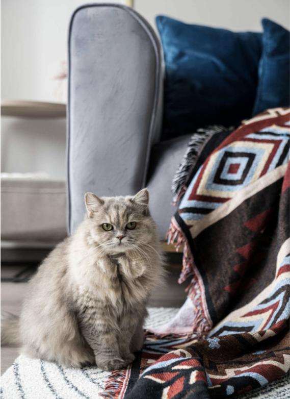 顶楼复式不能买？看完她家后，我坚定了自己的想法，买房不纠结了