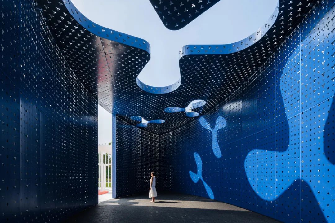 俞挺作品,俞挺上虞