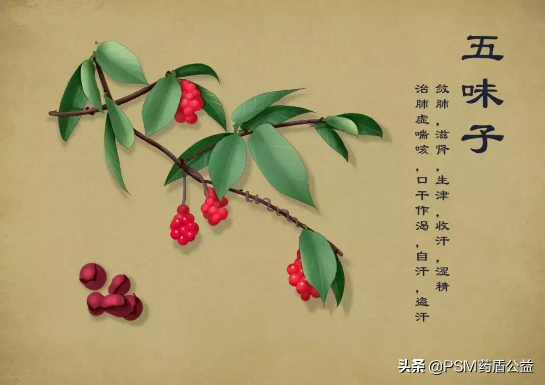 春暖花开手绘视频,春暖花开中药贴画