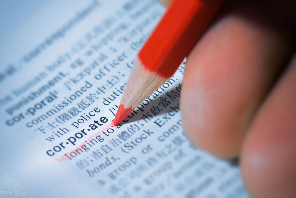 公司治理章程,治理公司的基本原则