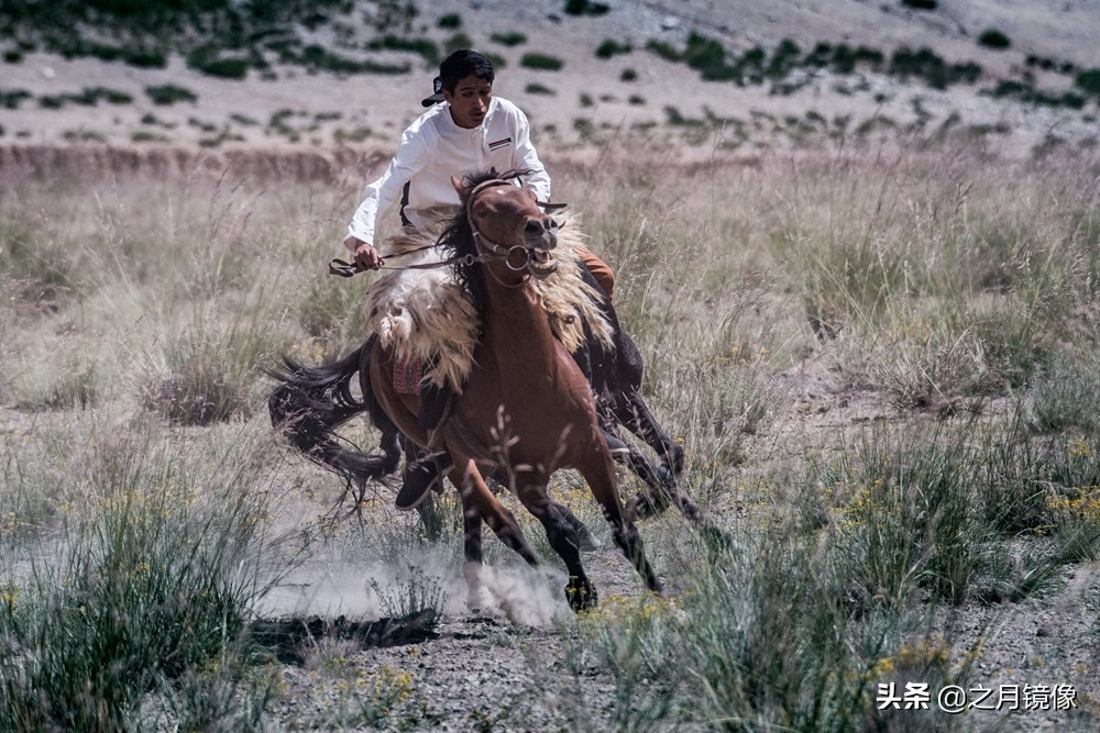 铁血雄鹰全剧,铁血雄鹰全文阅读
