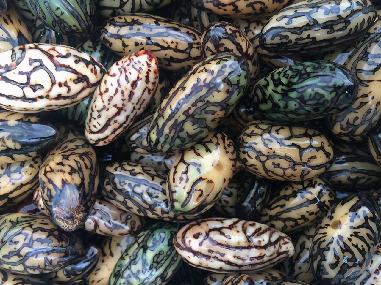 得了懒癌怎么办,犯了懒癌怎么办