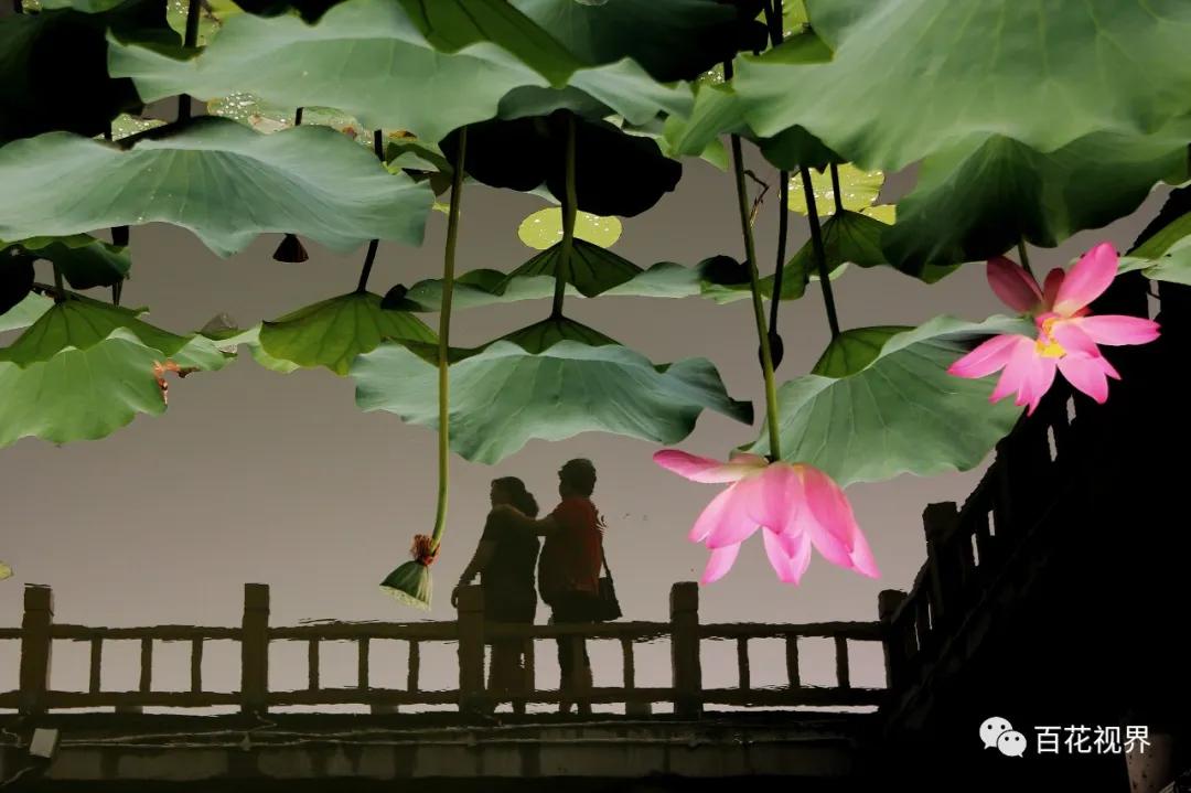 邯郸市女性摄影家,邯郸市女子摄影协会