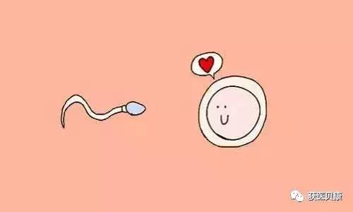 孕妈反复流产的原因,孕妈常犯的错误