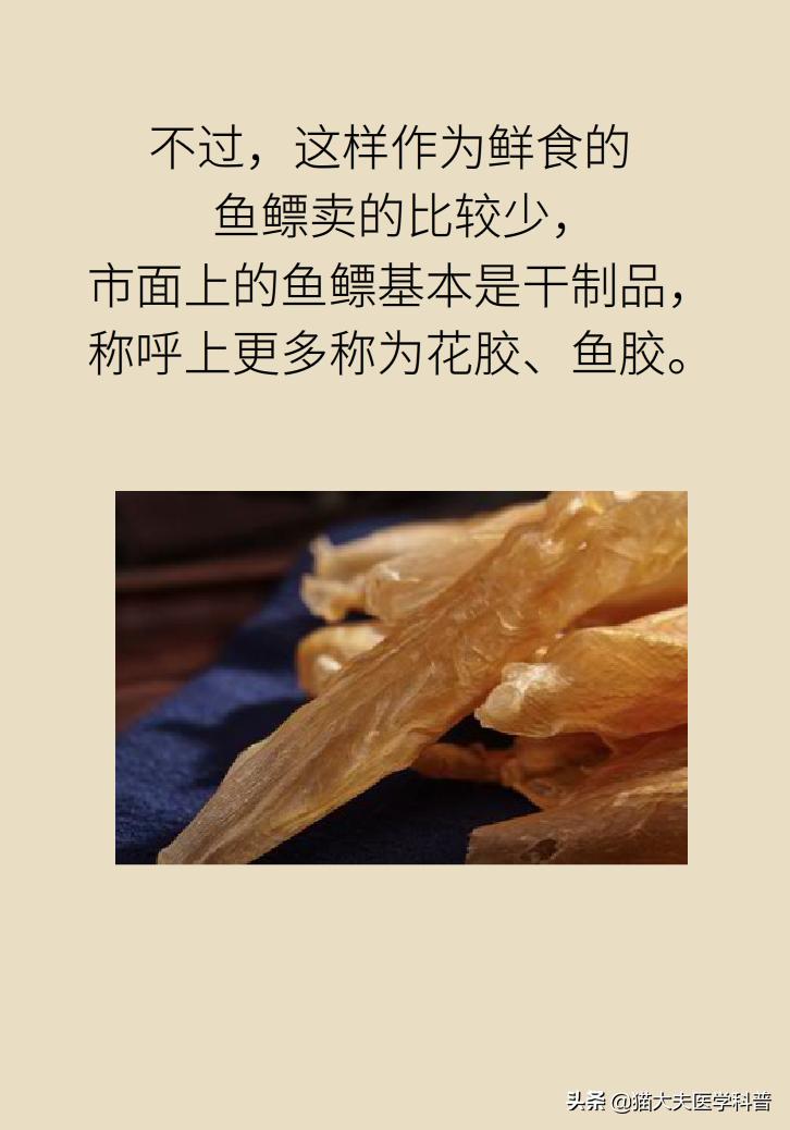 明星吃花胶,花胶的功效与作用排行榜