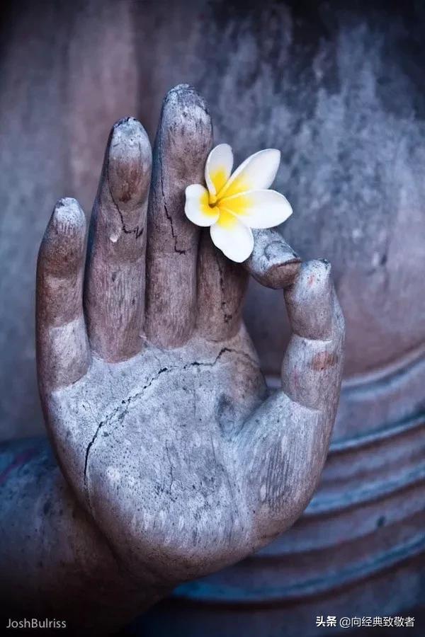 林清玄散文最美的遇见原文,散文林清玄人间