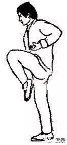 龙门铁布衫,武当铁布衫秘传功法图片