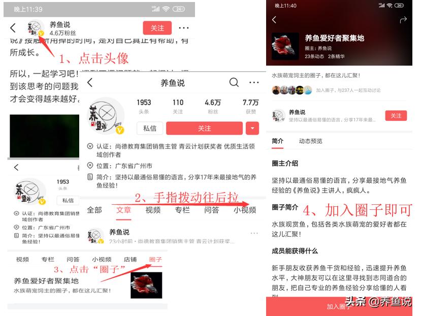 新手锦鲤鱼怎么养之6大禁忌,怎么能避免锦鲤鱼产卵