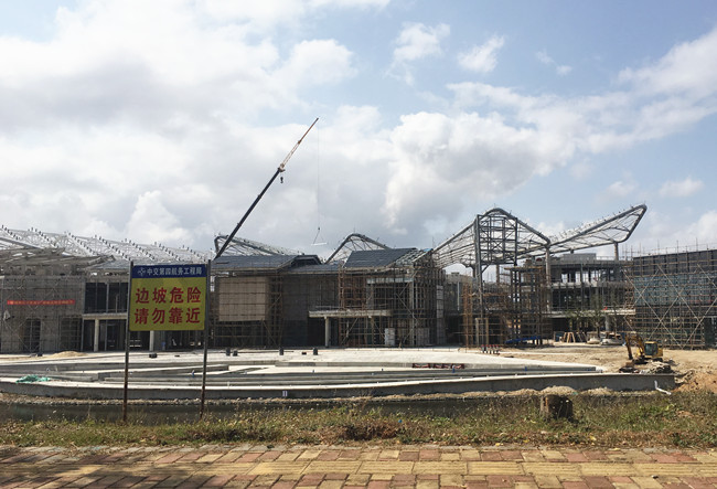 一条海棠路，半座三亚城：“海岛第一路”背后蕴藏怎样的资源密码