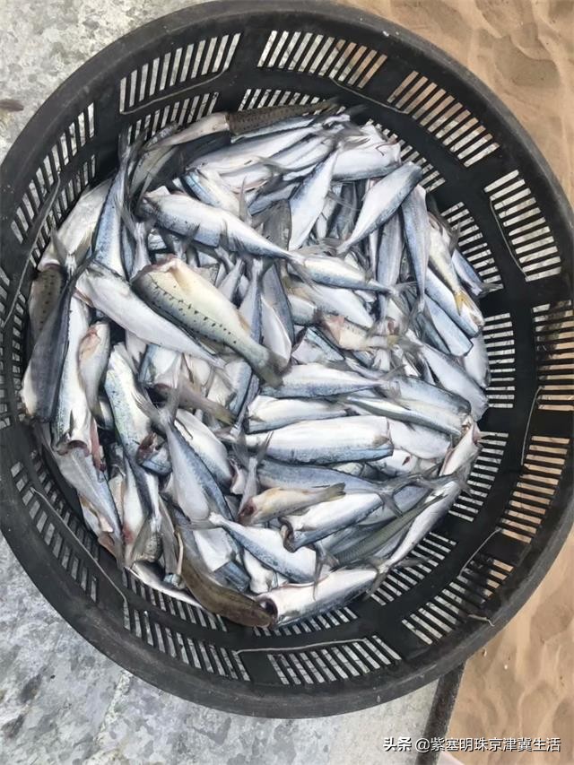 辽宁休闲度假海滩,辽宁东部海滩旅游