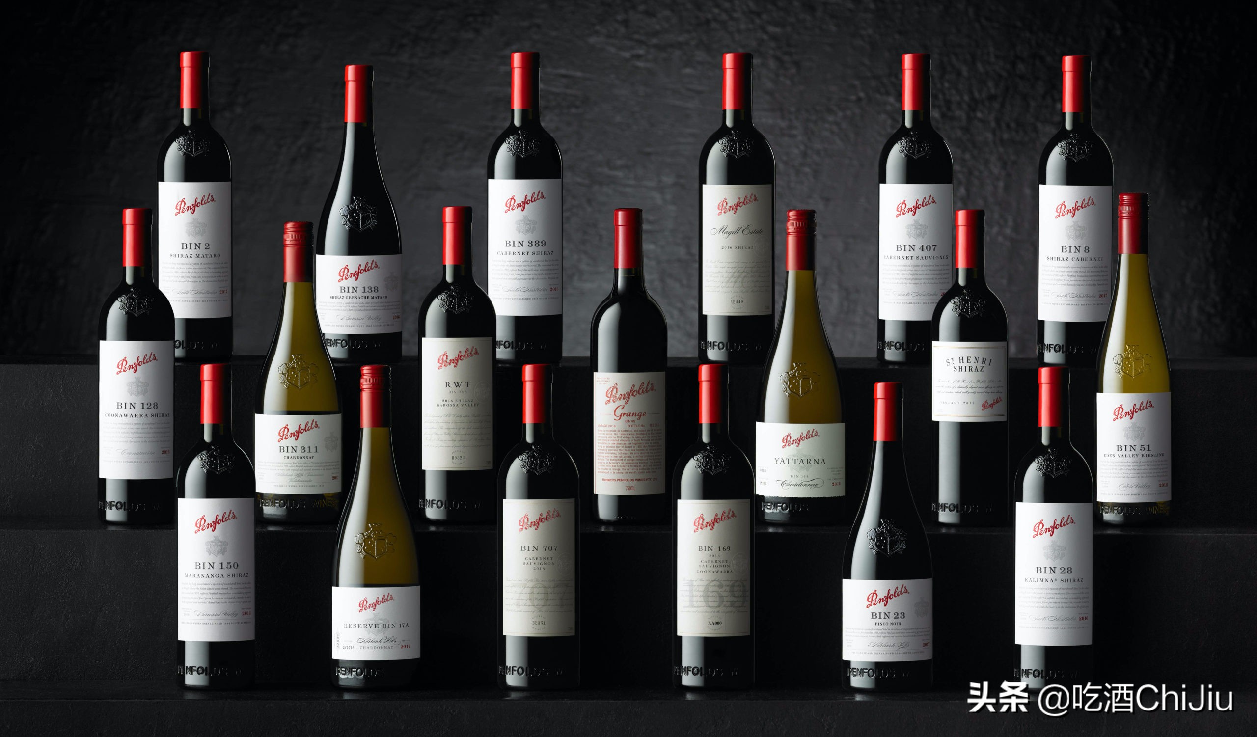 奔富红酒是怎么火的,奔富红酒怎么那么多款