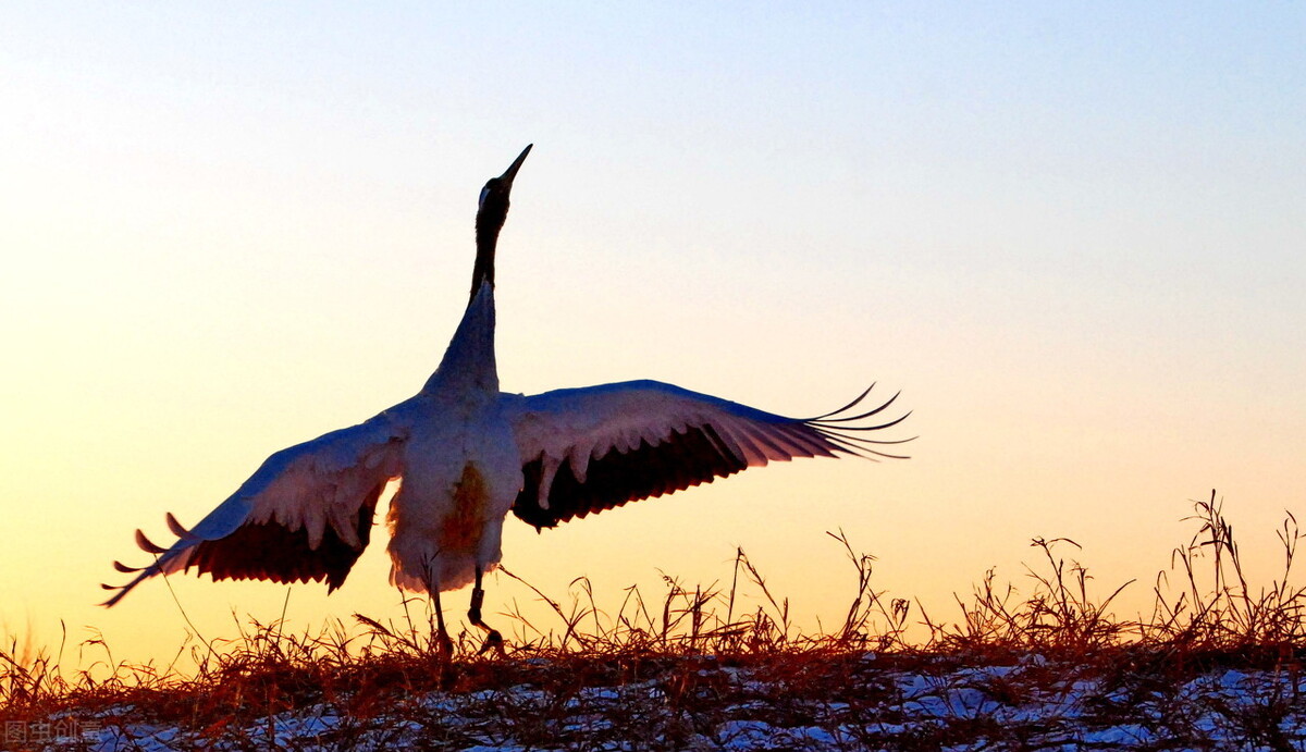 幼师工资两三千应不应该转行,幼师工资低还一直坚持为什么