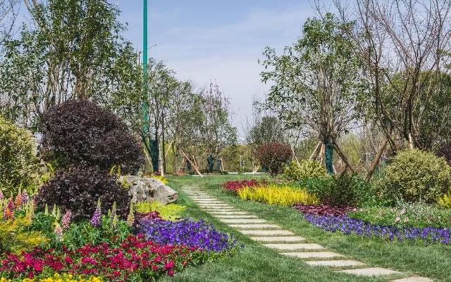 成成苏州,昆山哪个镇发展比较有潜力