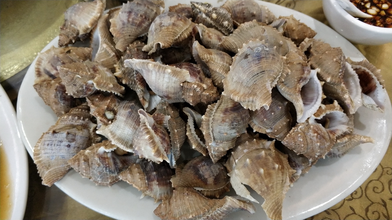 20200906骑行中国第一大火山岛——硇洲岛