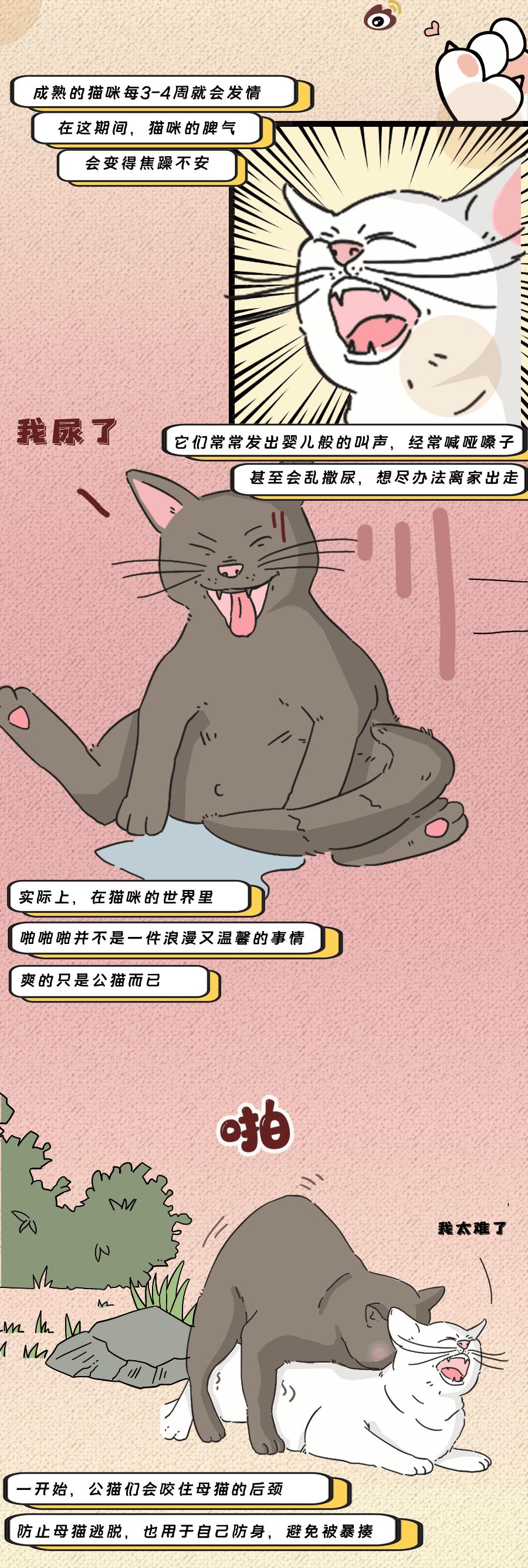 论啪啪啪,人类可比不上它们……