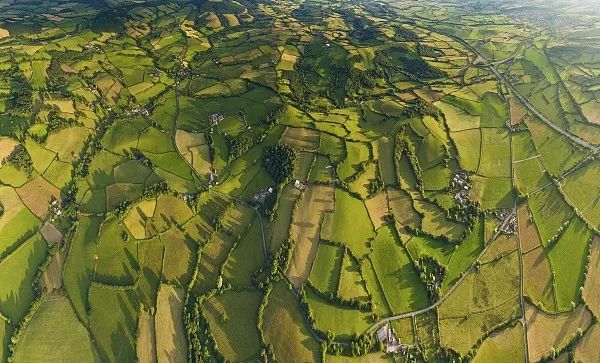 没土地农民,没土地了怎么办