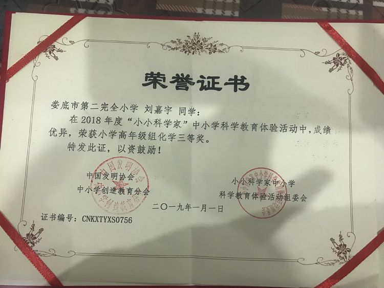 全国小小科学家决赛视频,2016年小小科学家获奖名单