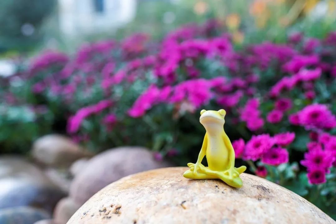 石家庄融创裕华壹号未来发展,石家庄融创裕华壹号4室设计图