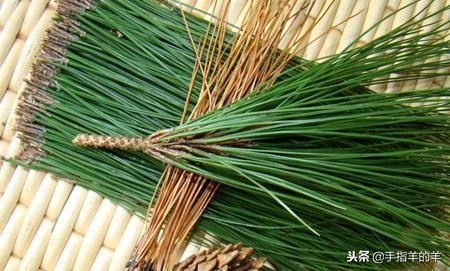 牙疼的原因和止疼妙招,牙疼不是病疼来要人命该怎么办