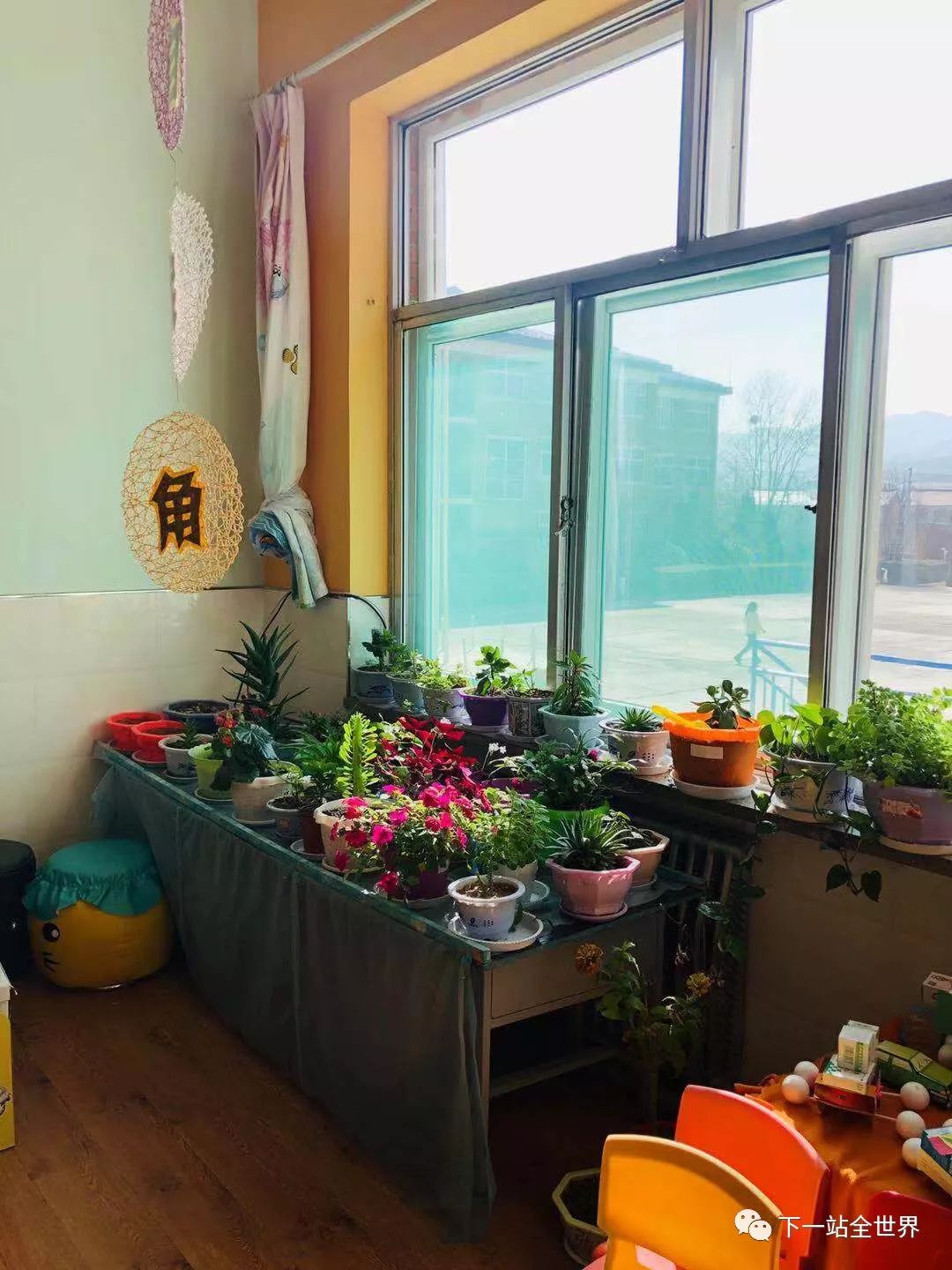 博爱学校小学校,私立学校博爱小学