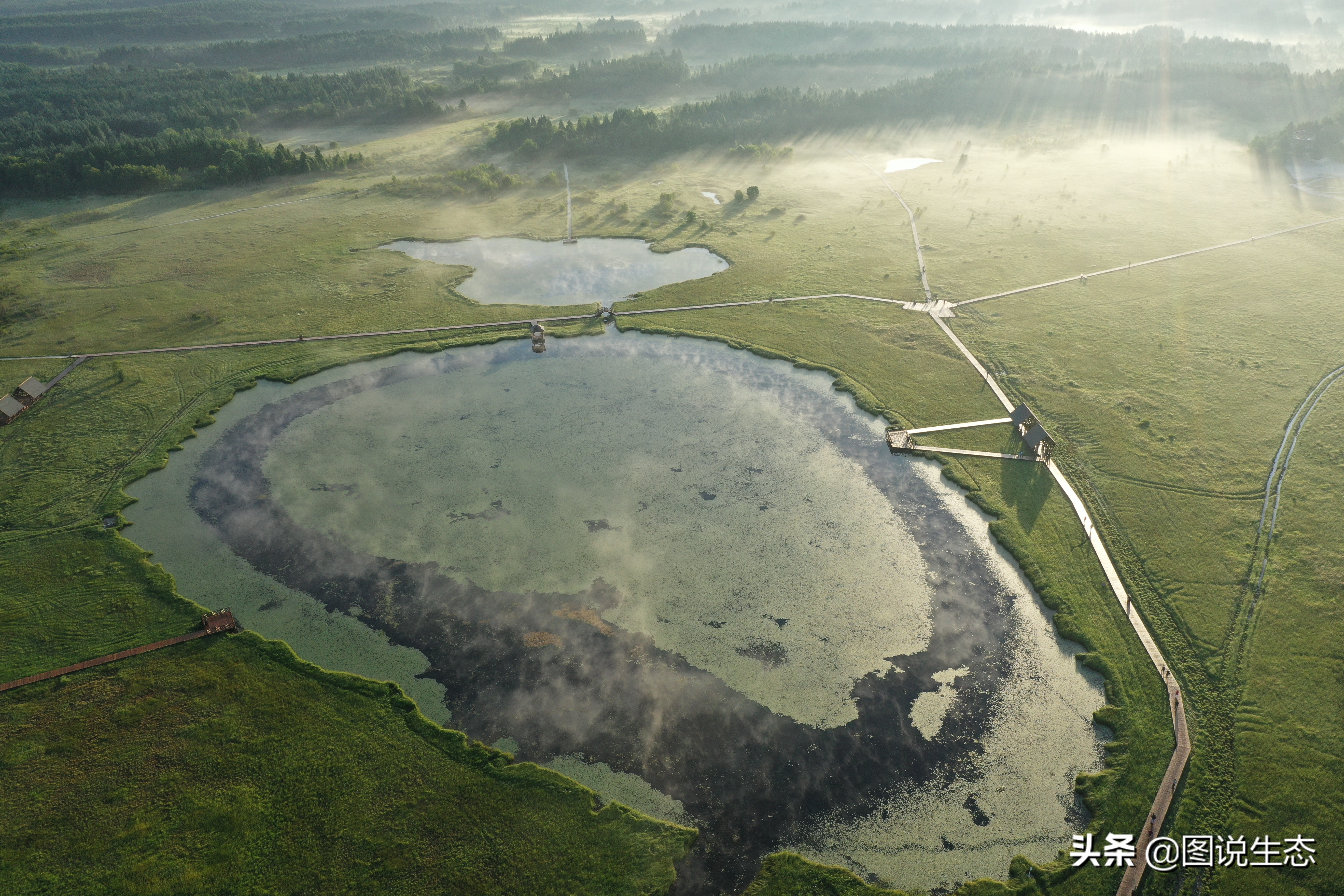一口气看完塞罕坝全篇,参观塞罕坝有感1000字